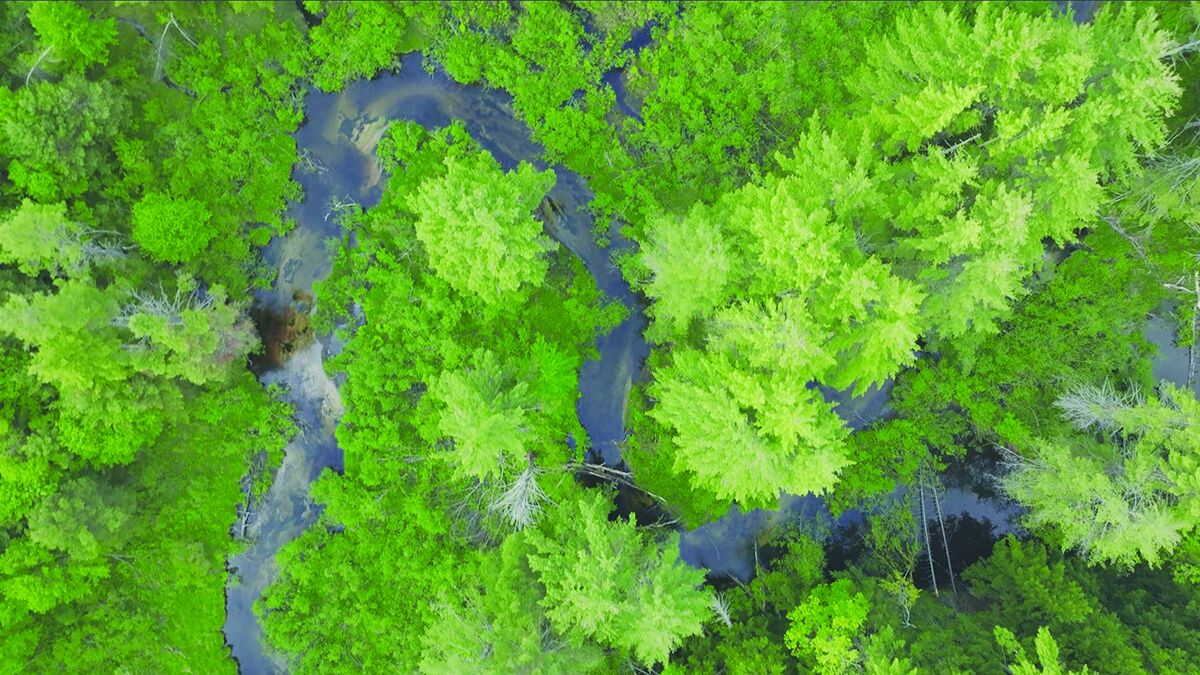 Greater Lovell Land Trust conserves nearly 2,700 acres in western Maine